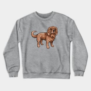 Cute Ruby Cavalier King Charles Spaniel Crewneck Sweatshirt